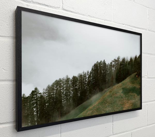 Green Foggy Hillsides