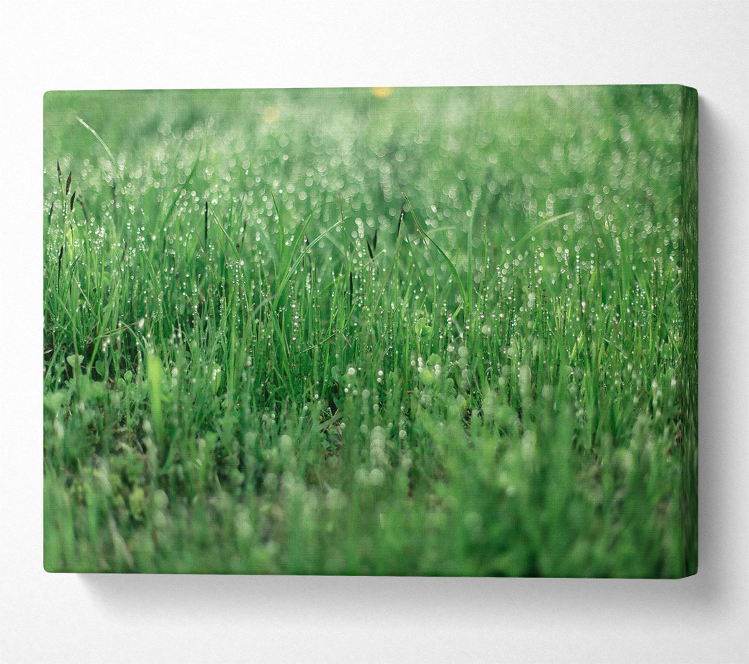  A Canvas Print of Emerald Dew Drops Canvas Wall Art