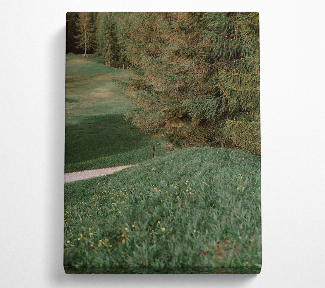  A Canvas Print of Emerald Forest Path Canvas Art