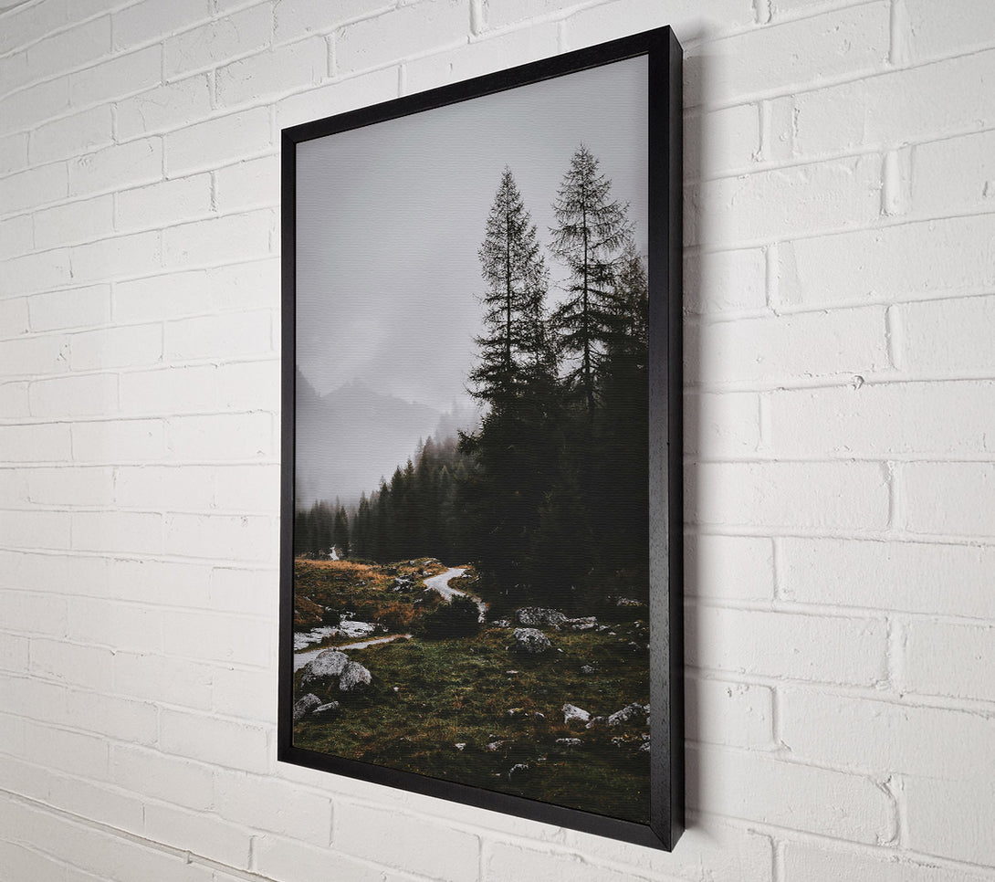  A Canvas Print of Gray Mist Path Canvas Print