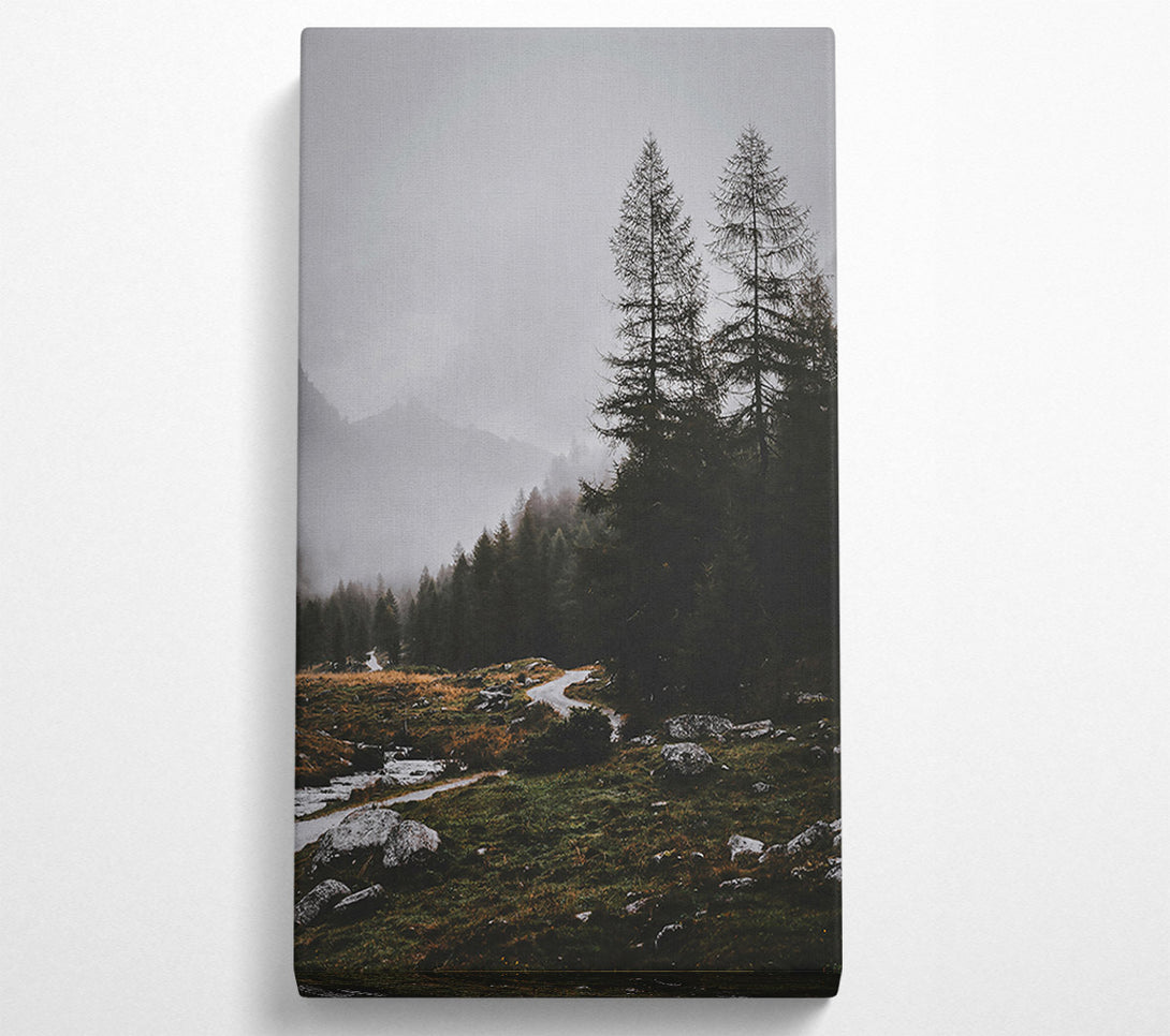  A Canvas Print of Gray Mist Path Canvas Print