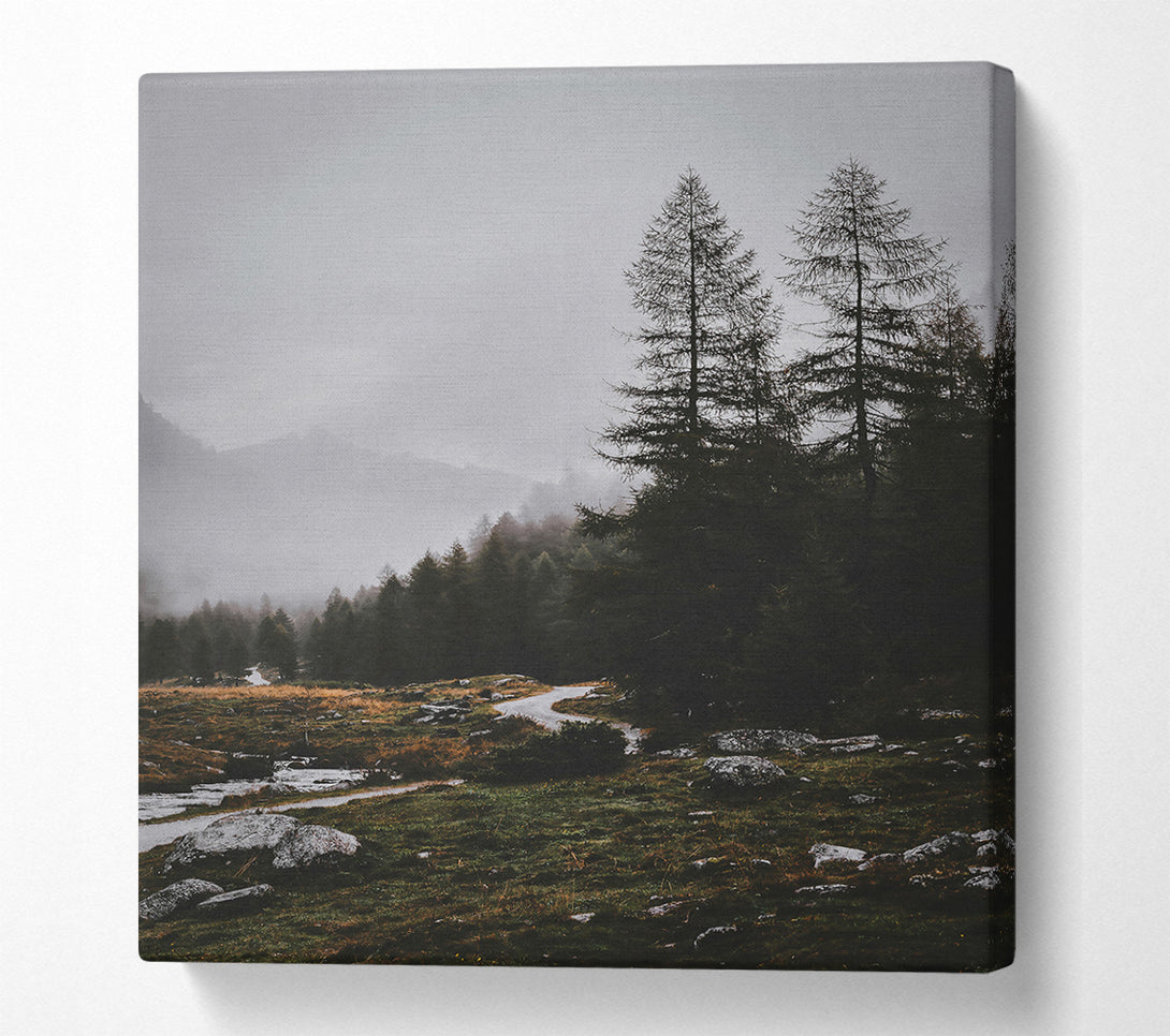  A Canvas Print of Gray Mist Path Canvas Print