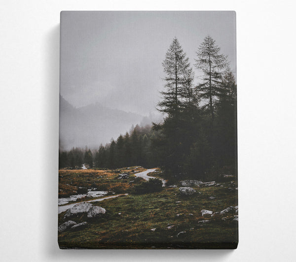  A Canvas Print of Gray Mist Path Canvas Print