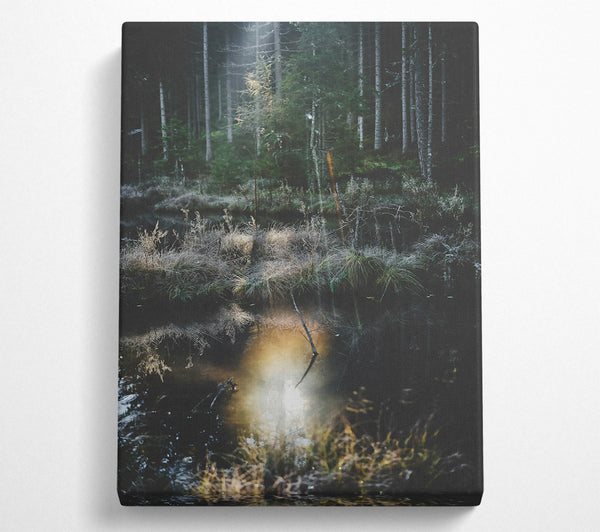  A Canvas Print of Golden Forest Reflection Canvas Wall Art