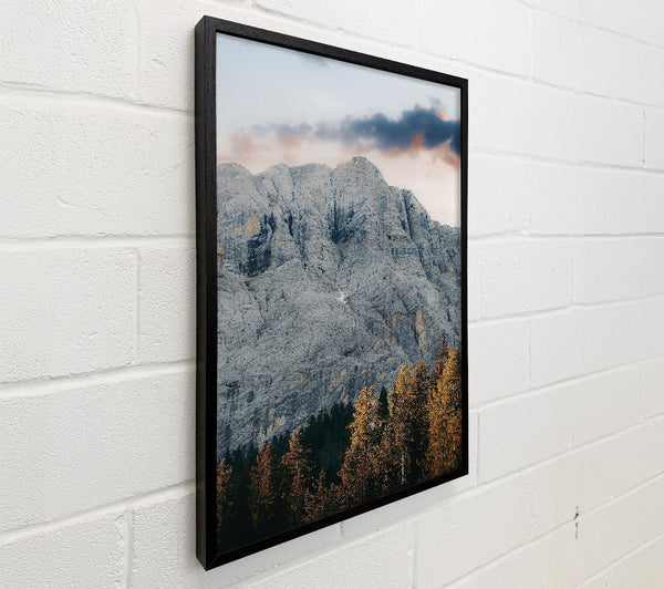 Gray Mountain And Pines