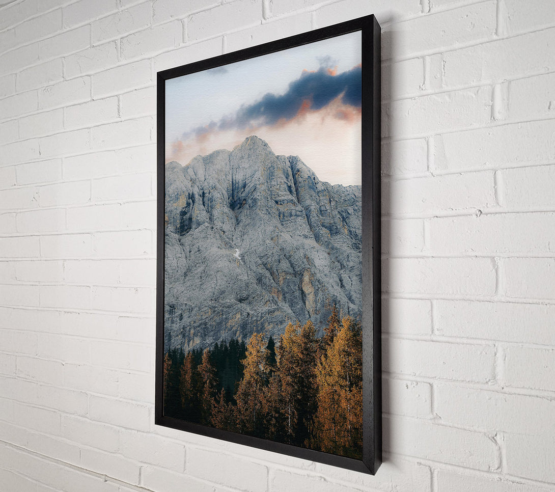  A Canvas Print of Gray Mountain And Pines Canvas Print