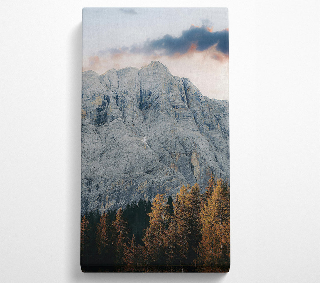  A Canvas Print of Gray Mountain And Pines Canvas Print