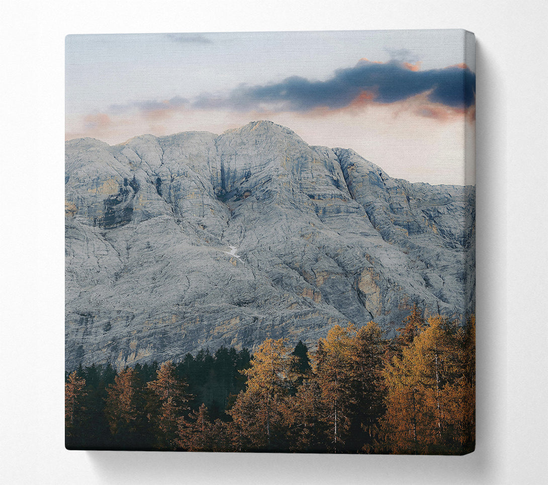 A Canvas Print of Gray Mountain And Pines Canvas Print