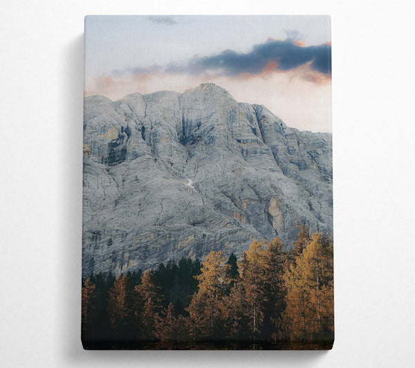  A Canvas Print of Gray Mountain And Pines Canvas Print