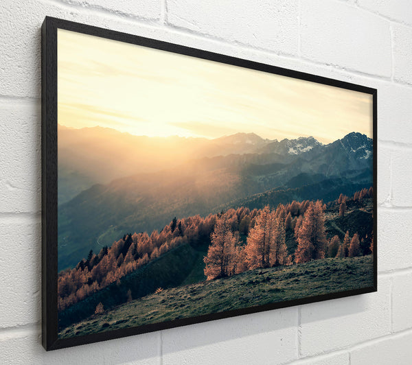 Golden Mountain Light