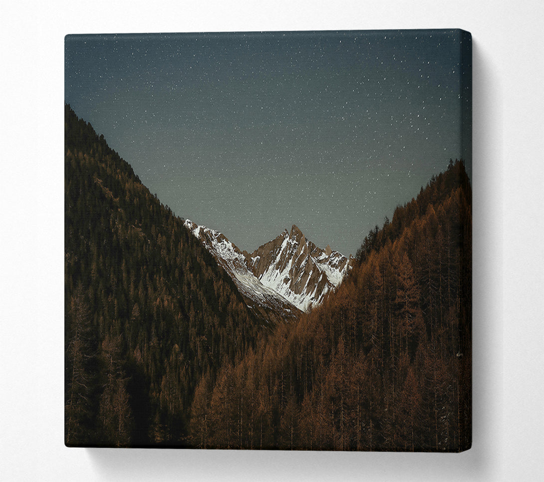  A Canvas Print of Brown Mountain Night Sky Canvas Print