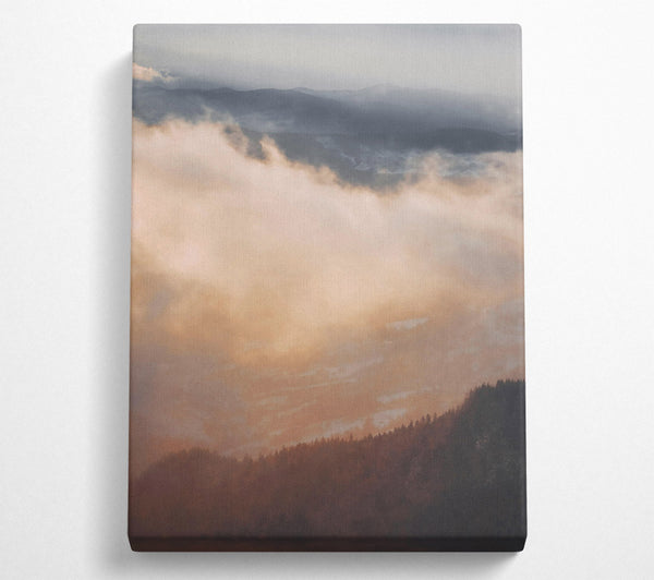  A Canvas Print of Golden Cloud Forest Canvas Art
