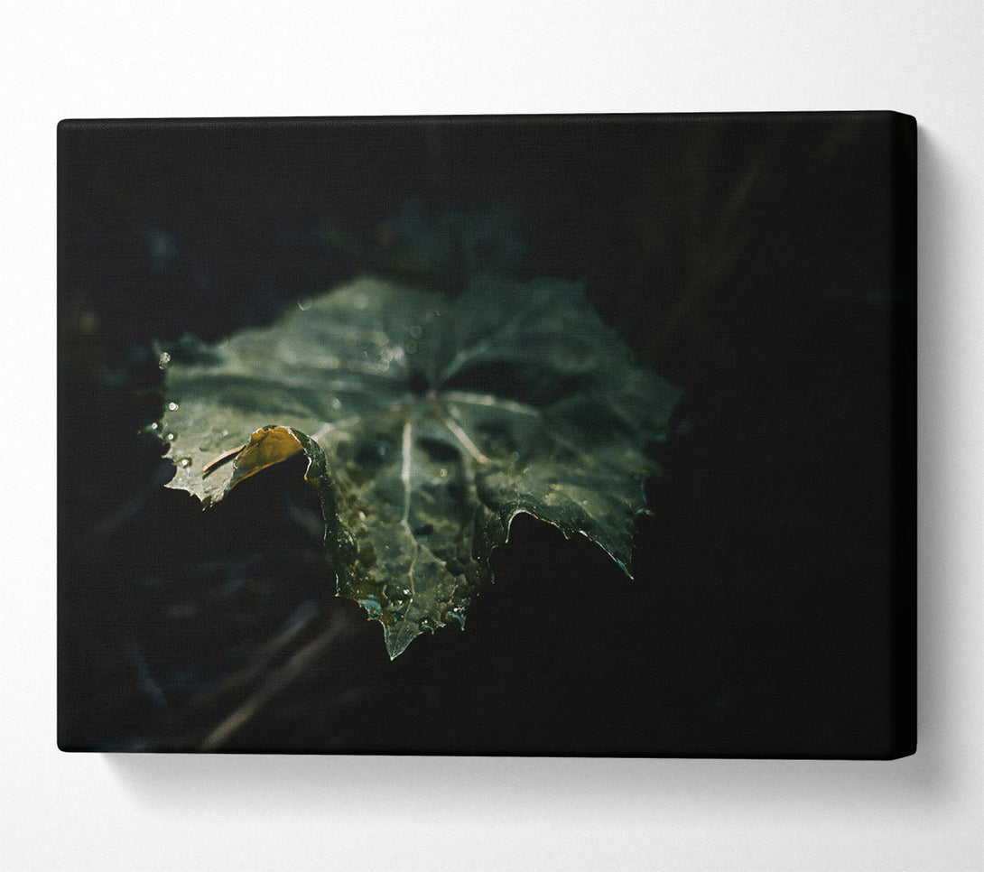  A Canvas Print of Emerald Leaf Shadow Canvas Wall Art