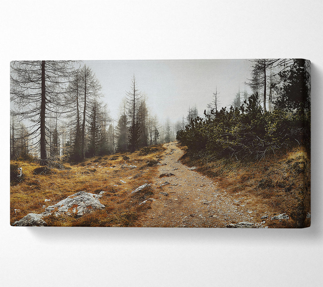 A Canvas Print of Golden Path Through Fog Canvas Wall Art
