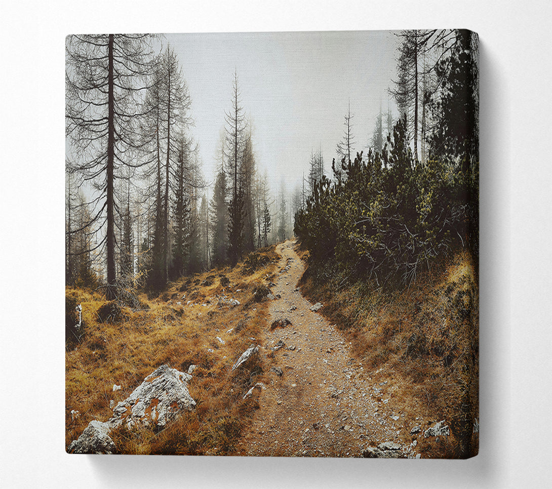  A Canvas Print of Golden Path Through Fog Canvas Wall Art