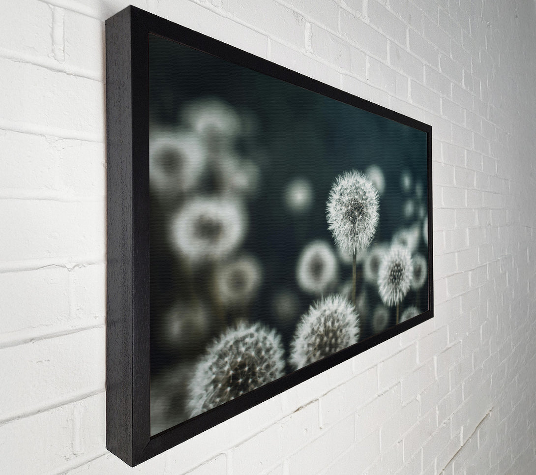  A Canvas Print of Teal Field Of Wishes Canvas Print