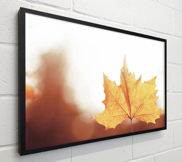 Golden Leaf Glow