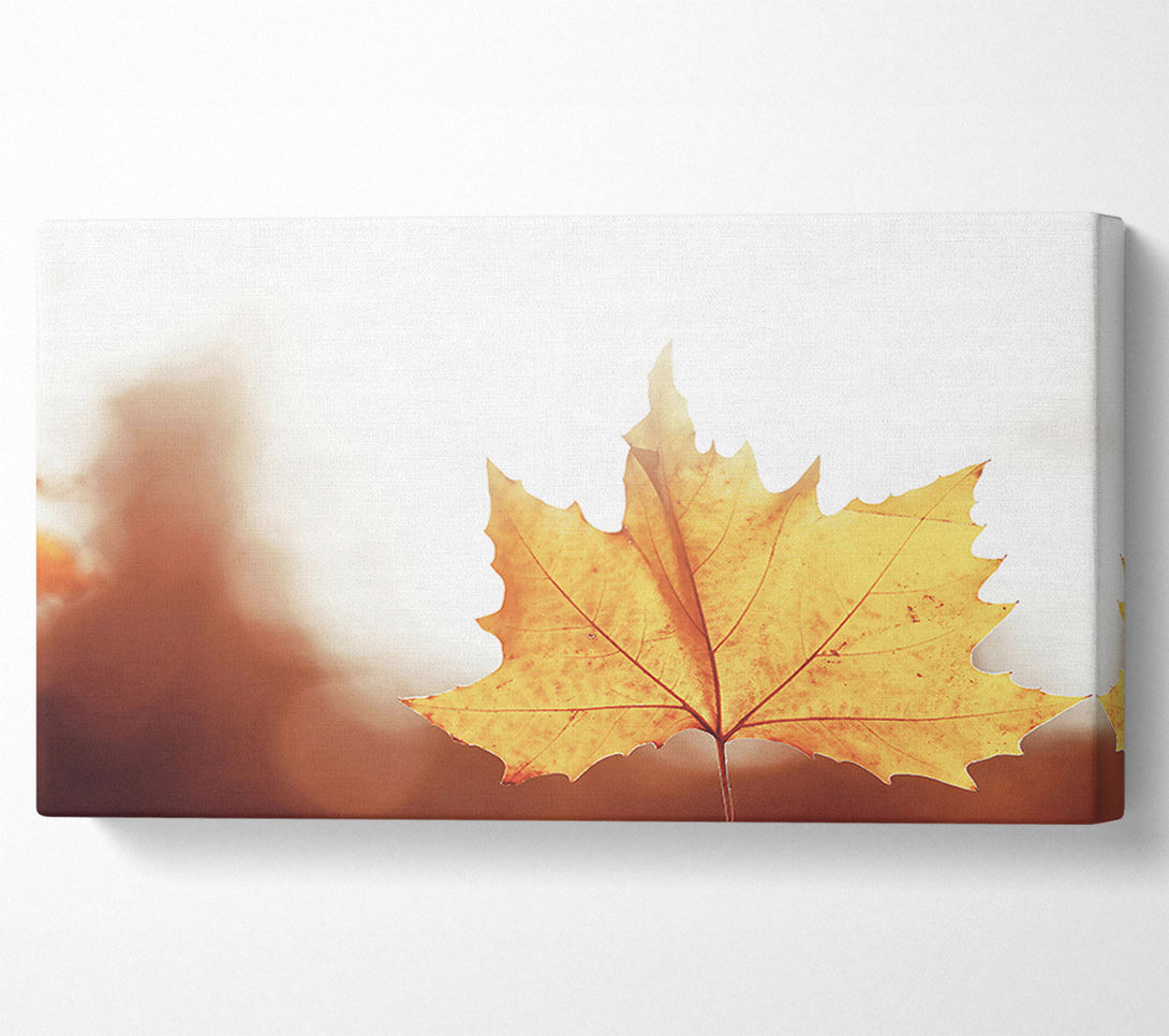  A Canvas Print of Golden Leaf Glow Canvas Wall Art