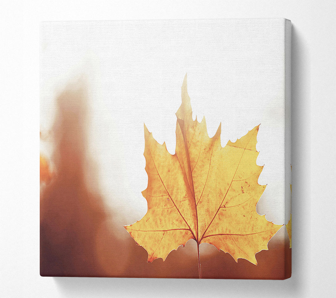  A Canvas Print of Golden Leaf Glow Canvas Wall Art