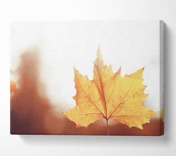  A Canvas Print of Golden Leaf Glow Canvas Wall Art