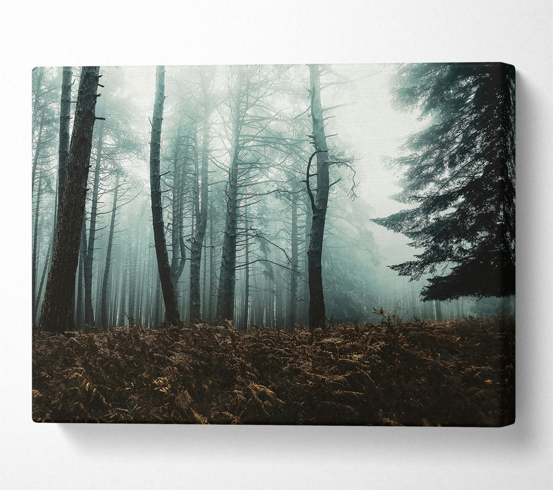  A Canvas Print of Teal Forest Mist Canvas Print