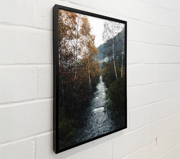 Golden Creek Flowing