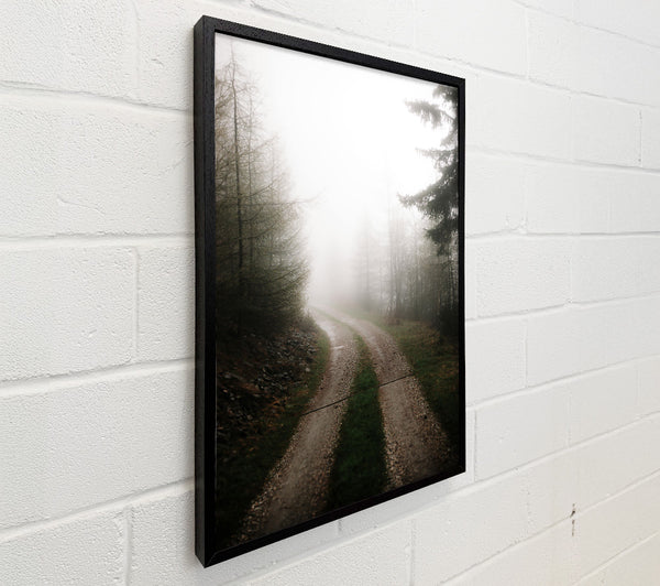 Grey Foggy Path