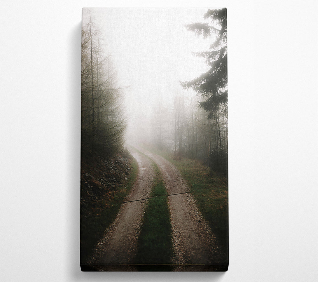  A Canvas Print of Grey Foggy Path Canvas Art