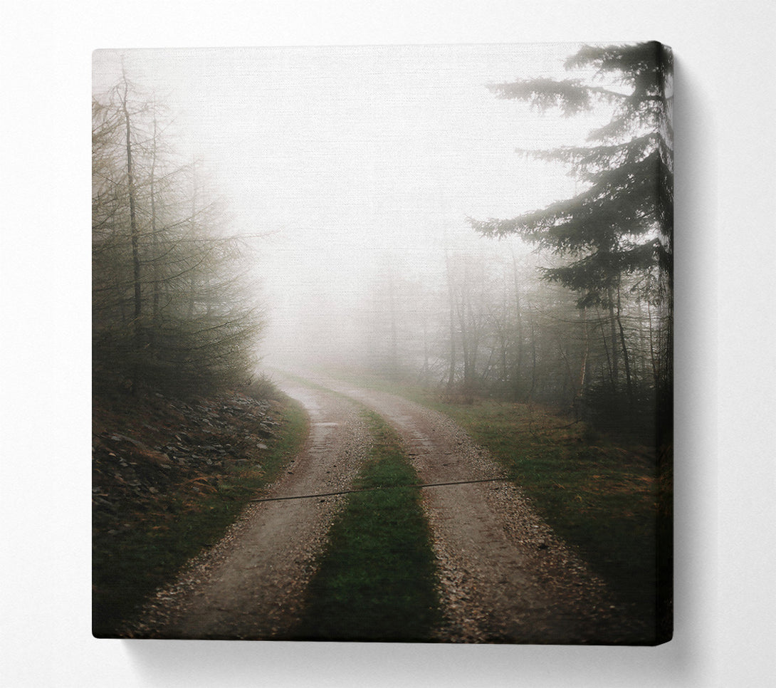  A Canvas Print of Grey Foggy Path Canvas Art