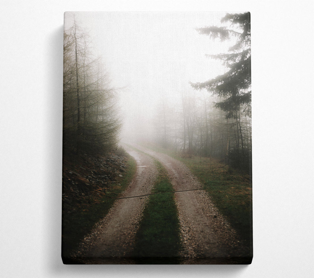  A Canvas Print of Grey Foggy Path Canvas Art