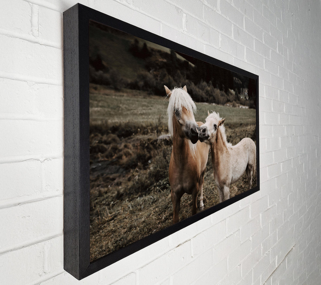  A Canvas Print of Golden Field Friends Canvas Print