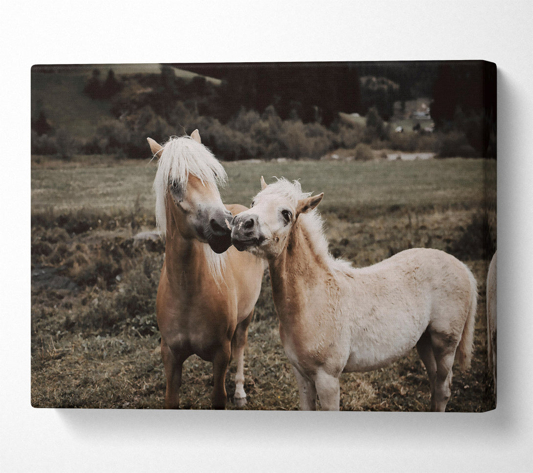  A Canvas Print of Golden Field Friends Canvas Print