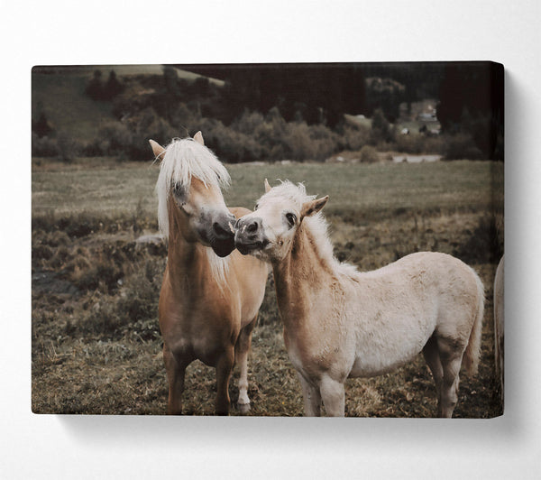  A Canvas Print of Golden Field Friends Canvas Print