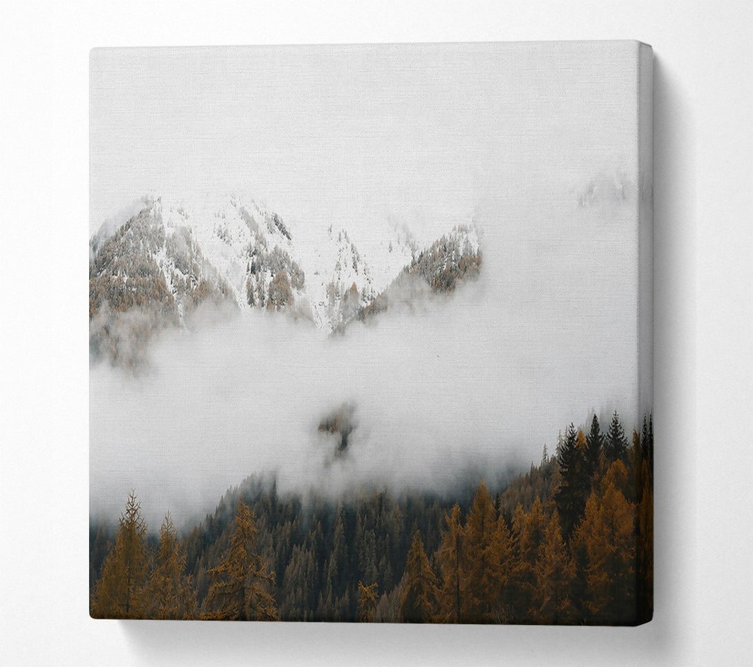  A Canvas Print of White Mountains In Fog Canvas Art