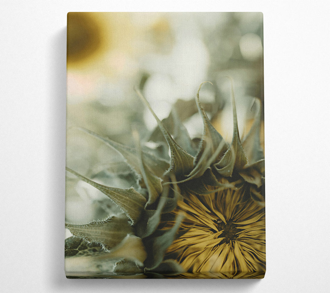  A Canvas Print of Golden Green Embrace Canvas Wall Art
