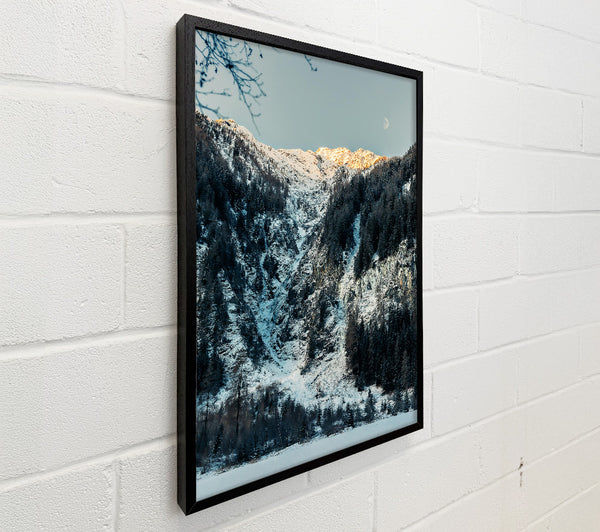 White Mountain Majesty