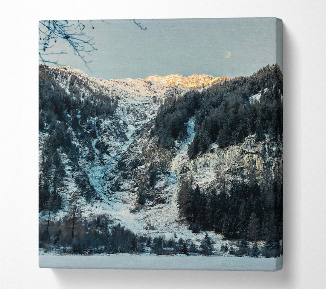  A Canvas Print of White Mountain Majesty Canvas Art