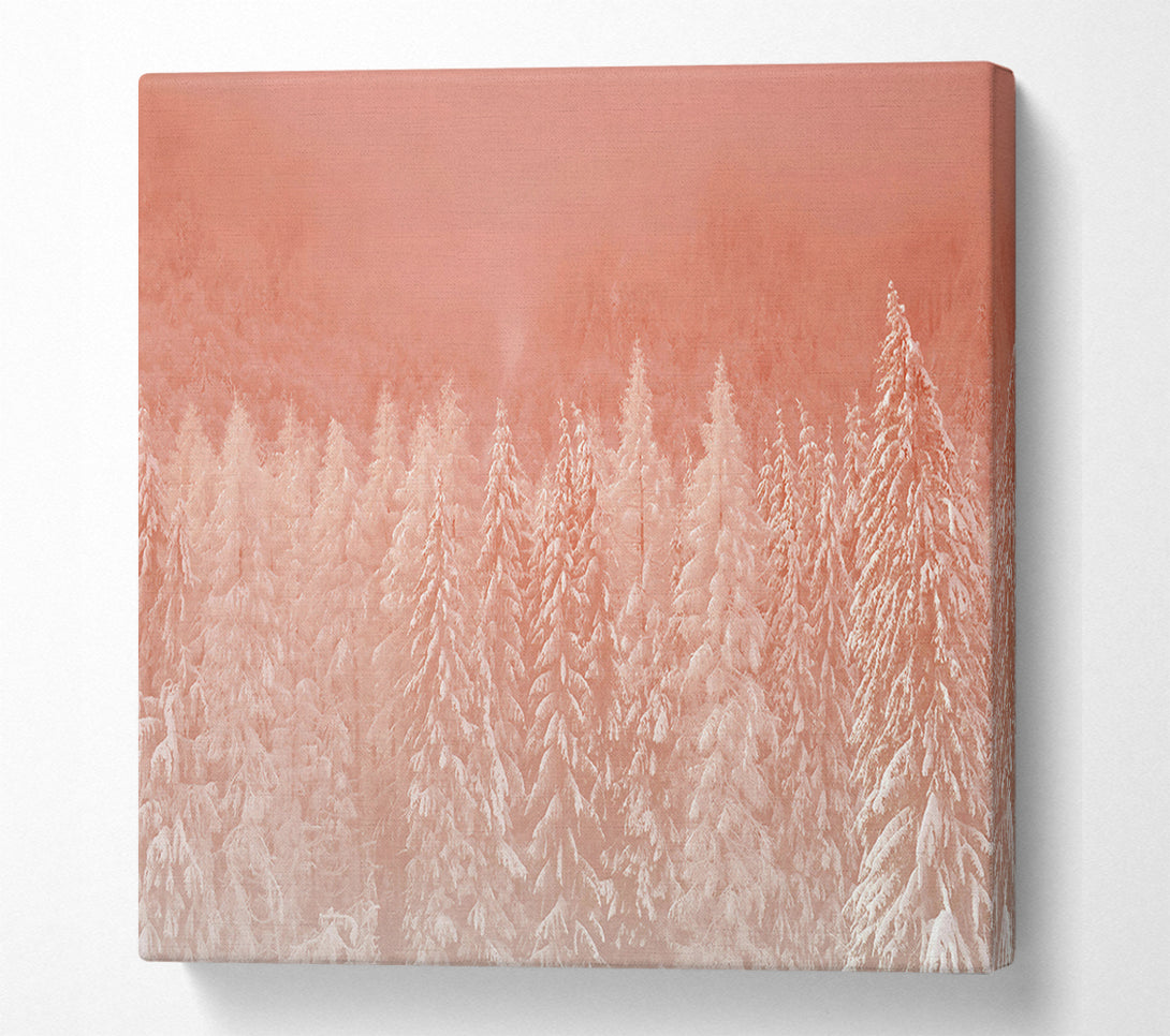  A Canvas Print of Salmon Forest Dawn Canvas Art