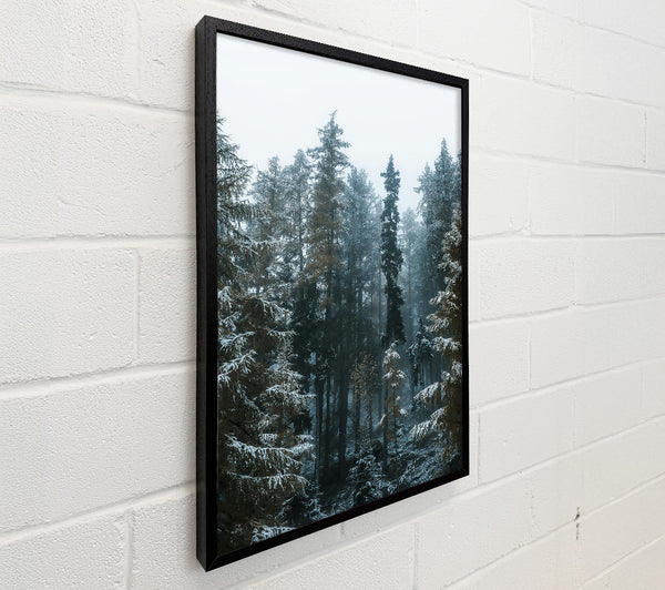 Blue Forest Whispers
