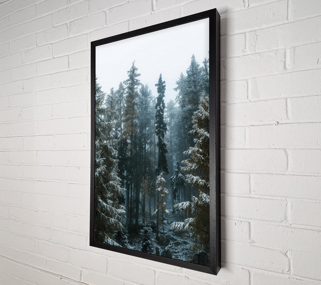  A Canvas Print of Blue Forest Whispers Canvas Art