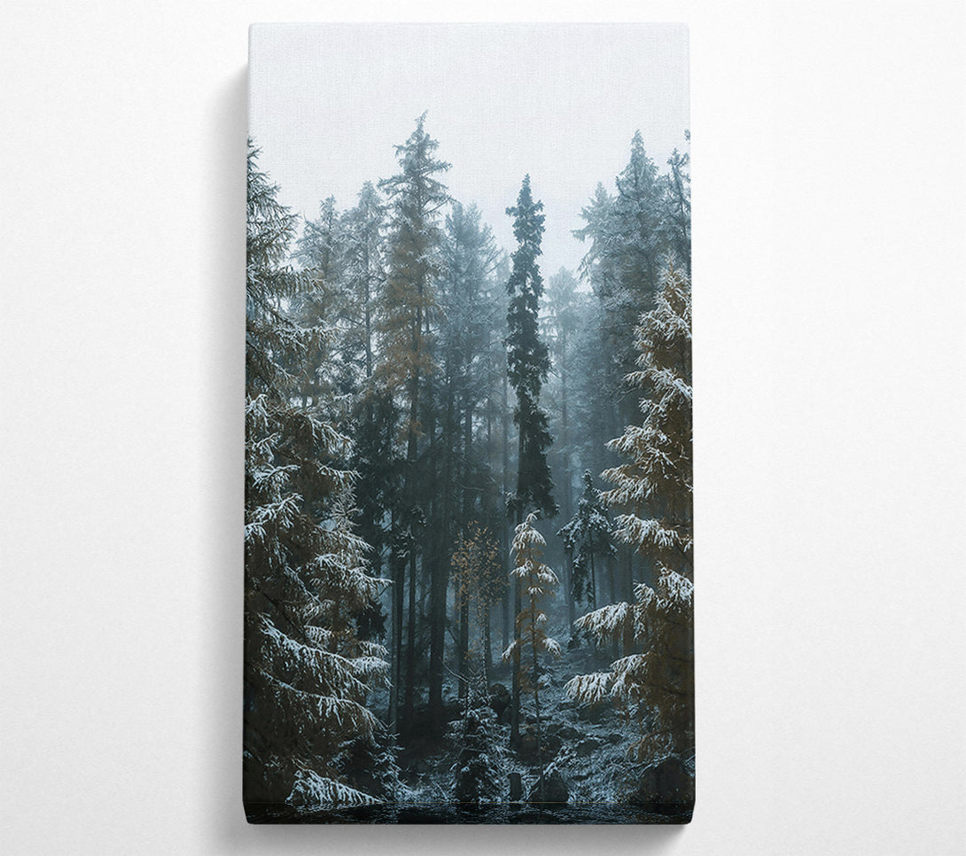  A Canvas Print of Blue Forest Whispers Canvas Art