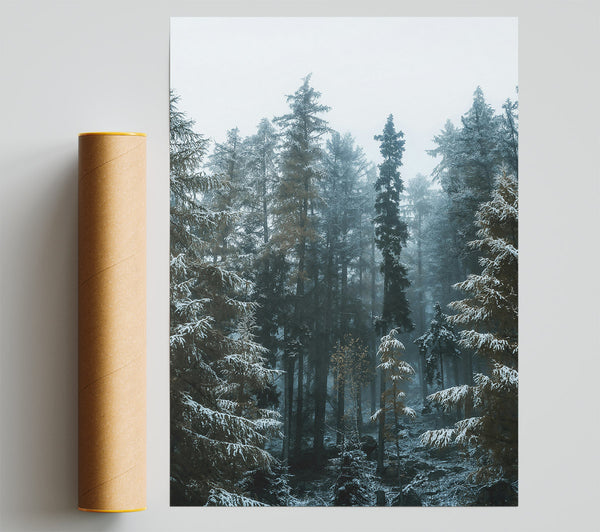Blue Forest Whispers Print