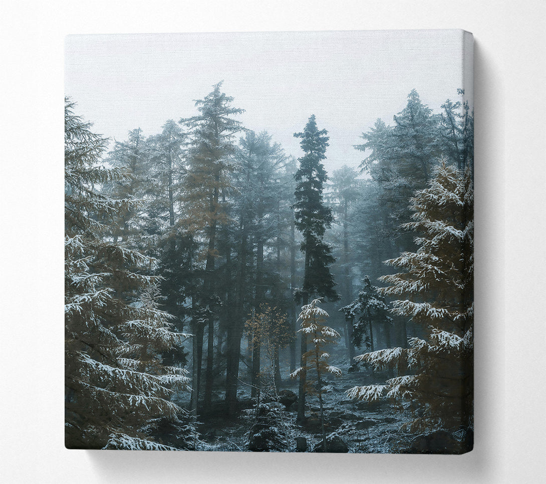  A Canvas Print of Blue Forest Whispers Canvas Art