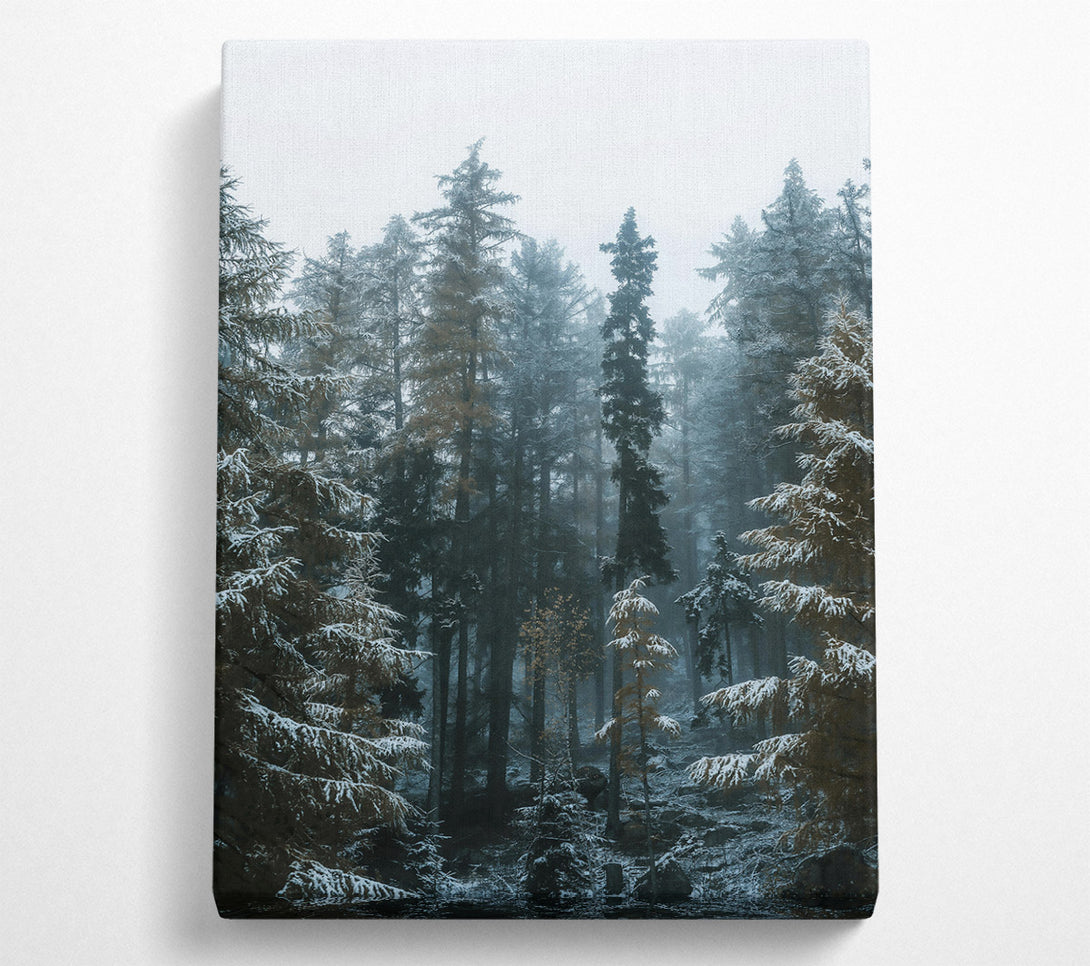  A Canvas Print of Blue Forest Whispers Canvas Art