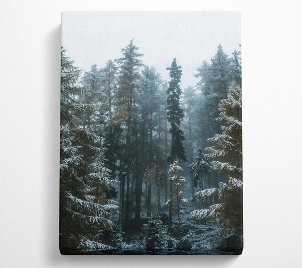  A Canvas Print of Blue Forest Whispers Canvas Art