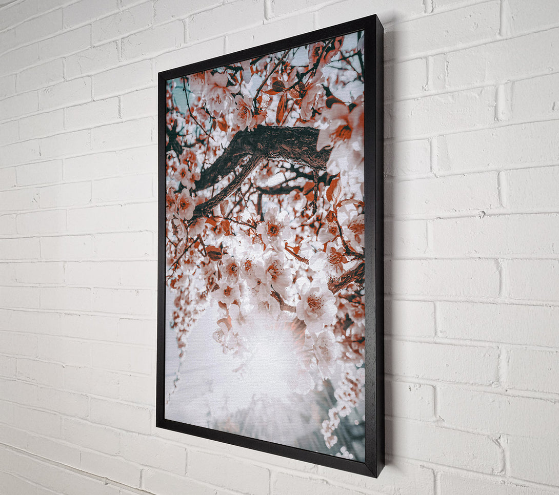  A Canvas Print of Peach Blossom Sun Canvas Art
