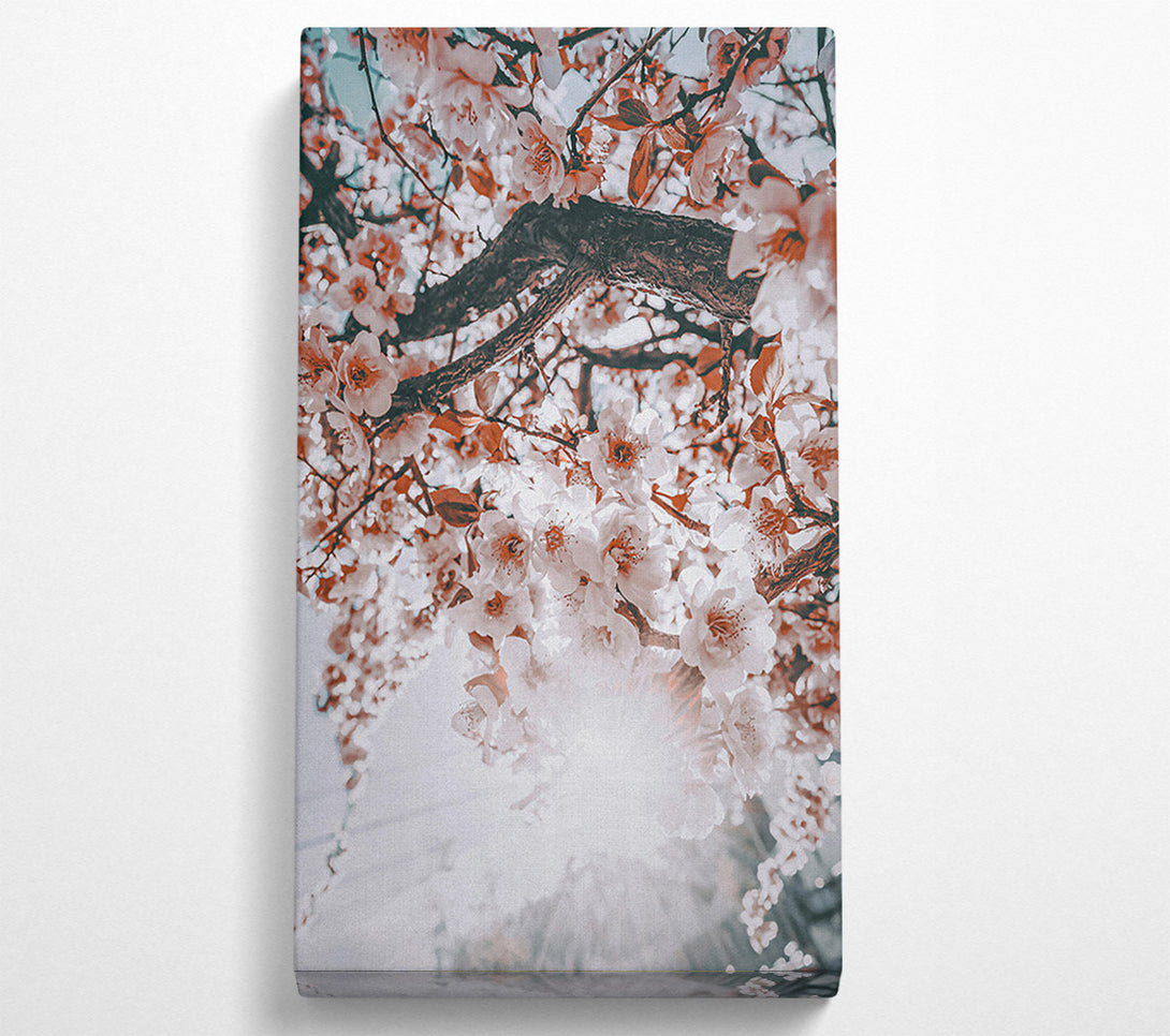  A Canvas Print of Peach Blossom Sun Canvas Art