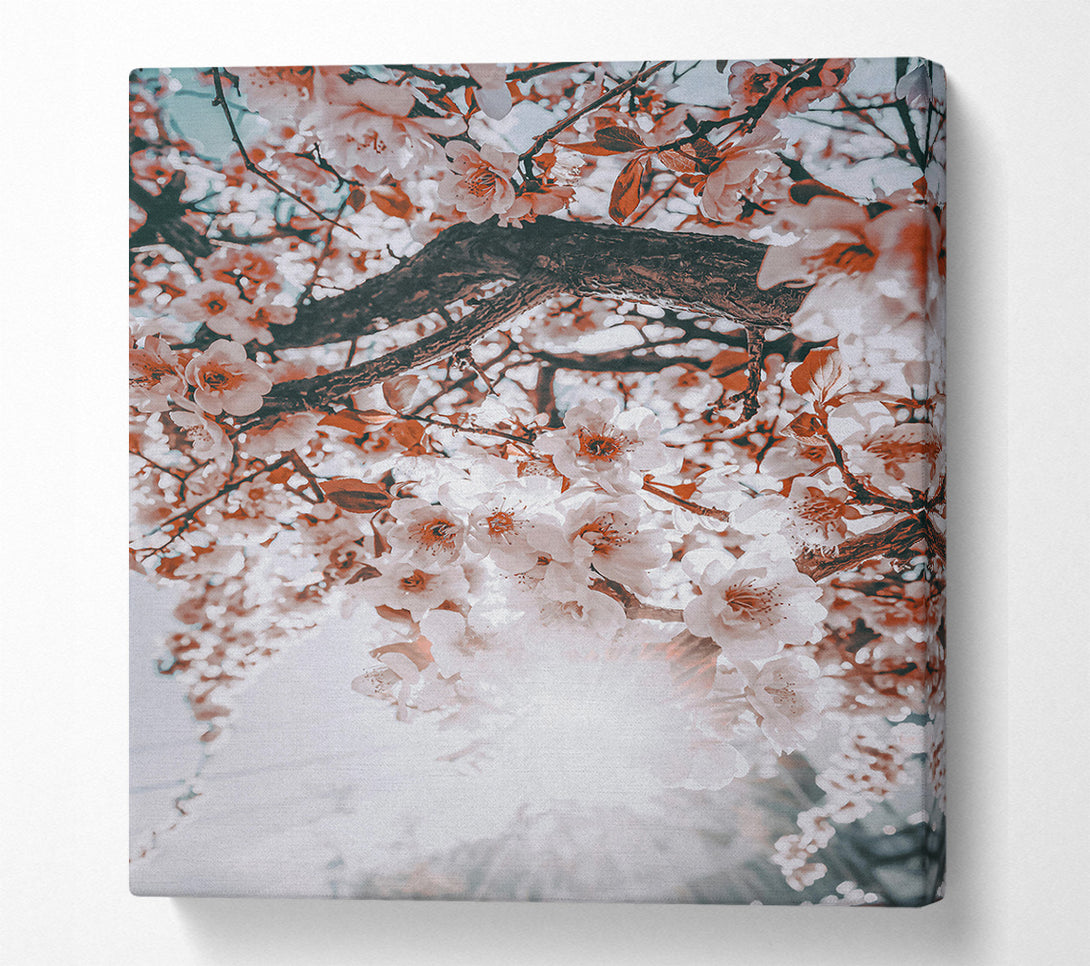  A Canvas Print of Peach Blossom Sun Canvas Art