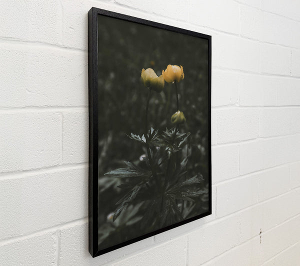 Yellow Blooms In Darkness