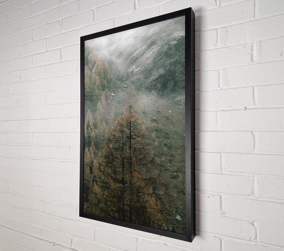  A Canvas Print of Gray Mist And Pines Canvas Print